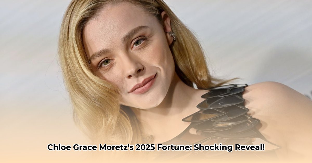 net-worth-chloe-grace-moretz